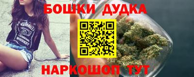гашик Новокубанск