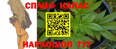 гашик Новокубанск