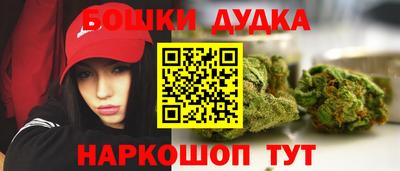 apvp Новозыбков