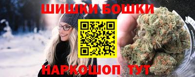 гашик Новокубанск