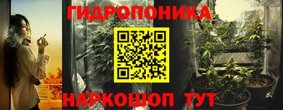 гашик Новокубанск